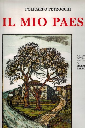 Il mio paese (Castello di Cireglio)