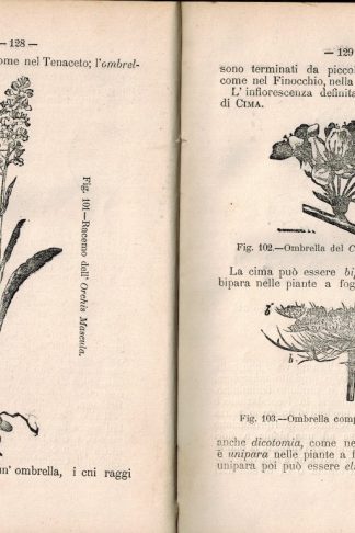 Corso elementare di storia naturale...