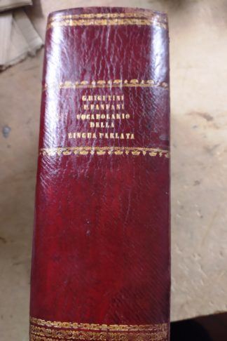 Vocabolario italiano della lingua parlata