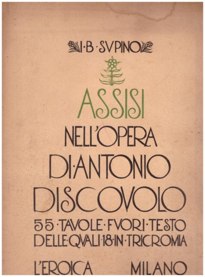 Assisi nell'opera di Antonio Discovolo