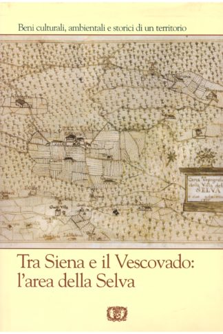 Tra Siena e il Vescovado: l'area della Selva