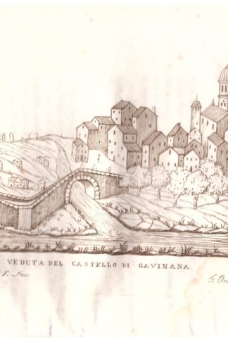Storia dell'antico castello di Gavinana ovvero Cavinana...
