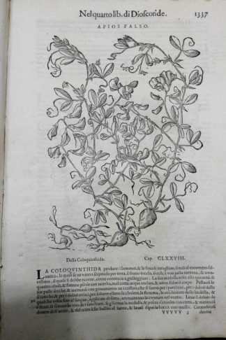 Dei discorsi...nelli sei libri di Pedacio Dioscoride Anazarb della materia medicinale...
