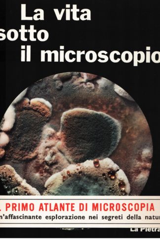 La vita sotto il microscopio