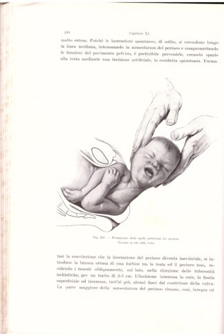 Trattato completo di Ostetricia ad uso degli Studenti e dei Medici Pratici