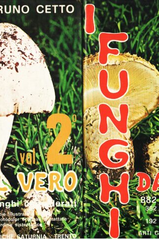 I funghi dal vero