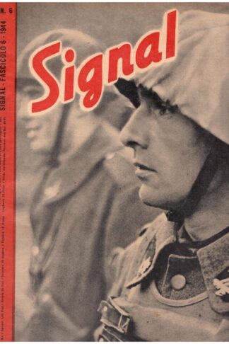 Signal
