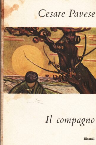Il compagno