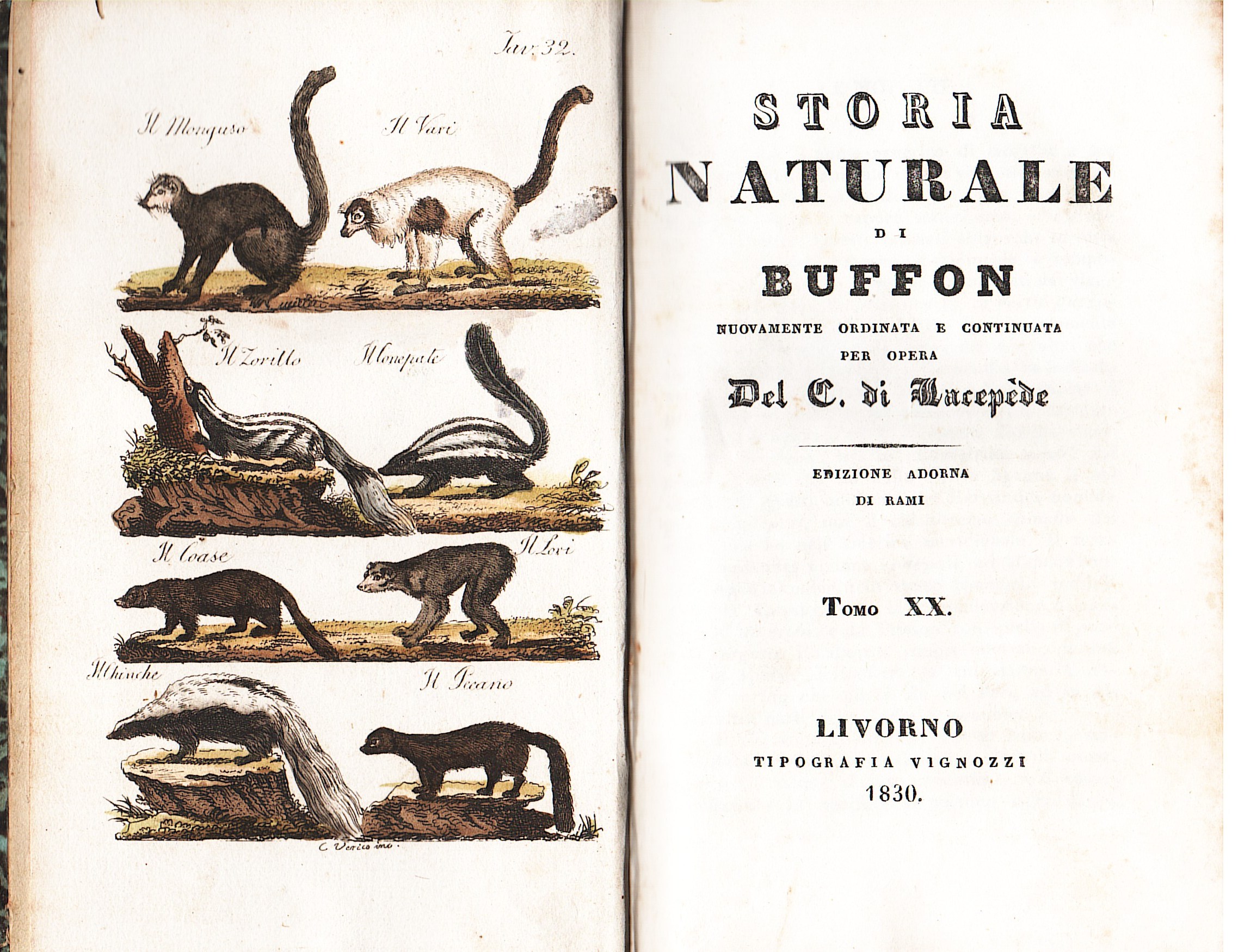 Storia Naturale...nuovamente ordinata e continuata per opera del C. di Lacepede