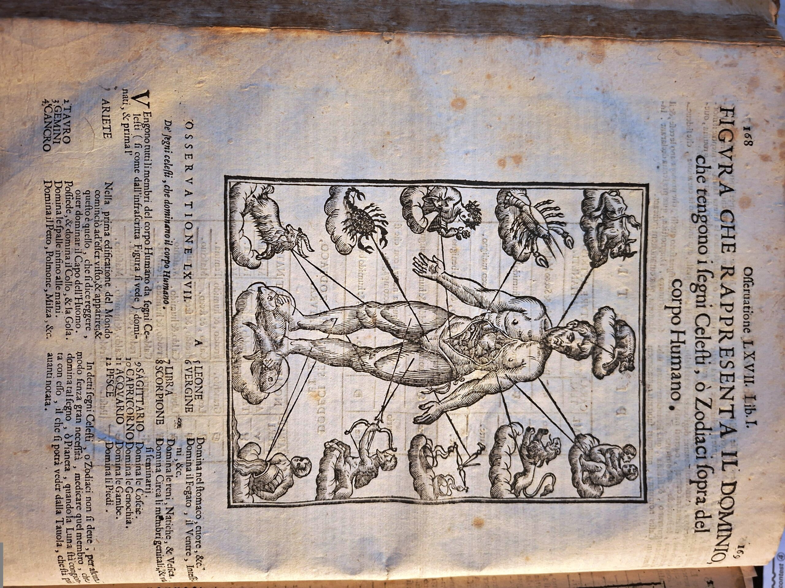 Il Nuovo Tesoro degl'Arcani Farmacologici, Galenici, & Chimici o Spargirici...