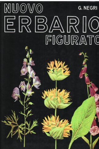 Nuovo erbario figurato