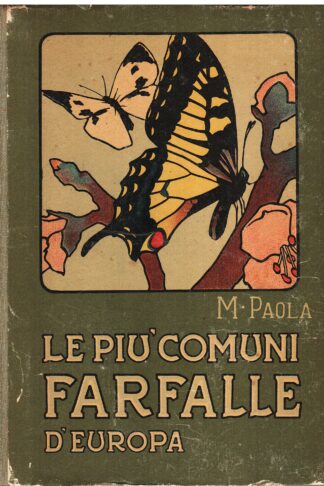 Le più comuni farfalle d'Europa